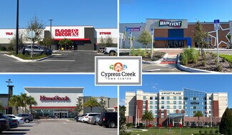 More details for SR 56, Lutz, FL - Land for Lease