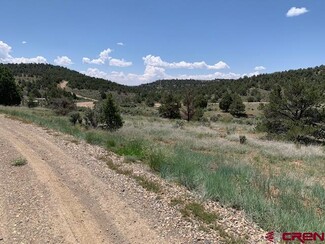 More details for 337 County 4018 rd, Navajo Dam, NM - Land for Sale