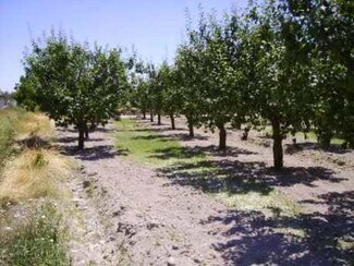 More details for Land for Sale