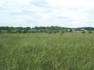 Plus de détails pour Chesnee Hwy Rd, Gaffney, SC - Terrain à vendre