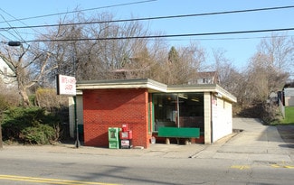 Plus de détails pour 335 Pittsburgh St, Springdale, PA - Commerce de détail à vendre