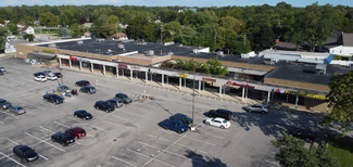 More details for 32837 Fort Rd, Rockwood, MI - Retail for Lease