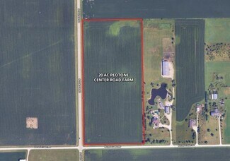 Plus de détails pour S Center rd, Peotone, IL - Terrain à vendre