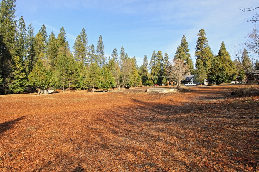 1100 Highway 4, Arnold, CA for sale - Other - Image 2 of 9