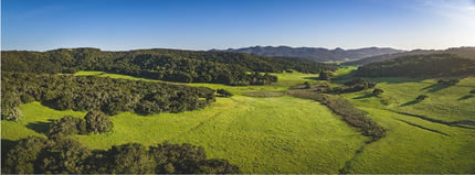 Price Canyon Rd, San Luis Obispo, CA - Aérien  Vue de la carte - Image1