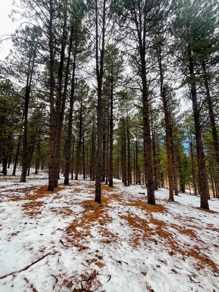 Lot 158 Valle Grande, Angel Fire, NM à vendre - Autre - Image 1 de 8