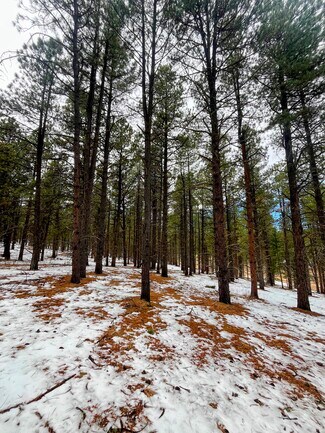 Plus de détails pour Lot 158 Valle Grande, Angel Fire, NM - Terrain à vendre