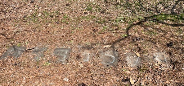 703 Davidson St, Thomasville, NC for sale - Building Photo - Image 2 of 7