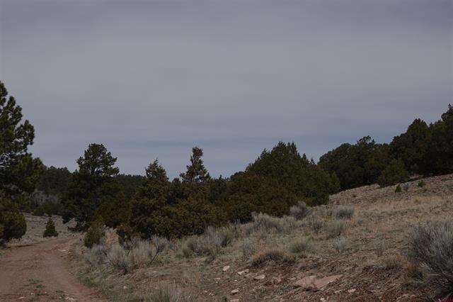 TBD Fox Creek Road, Mogote, CO for sale - Building Photo - Image 2 of 4