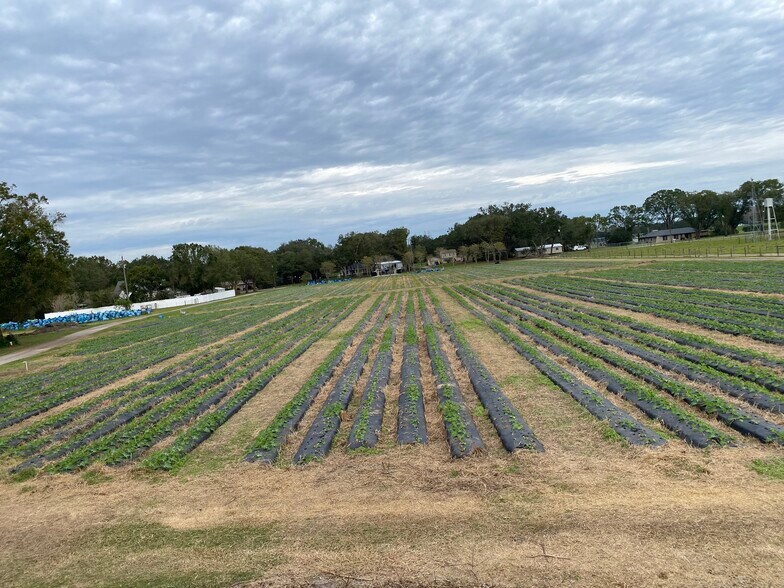 WO  Farms portefeuille de 2 propriétés à vendre sur LoopNet.ca - Photo du bâtiment - Image 3 de 4