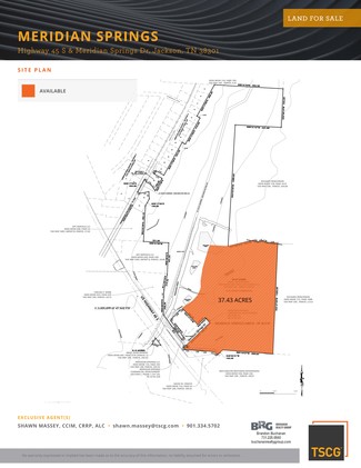 More details for Meridian Springs & S Hwy 45, Jackson, TN - Land for Sale