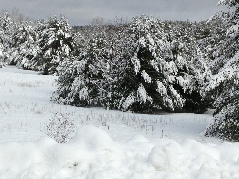Route 8 & I-87, Chestertown, NY à vendre - Photo du bâtiment - Image 2 de 17