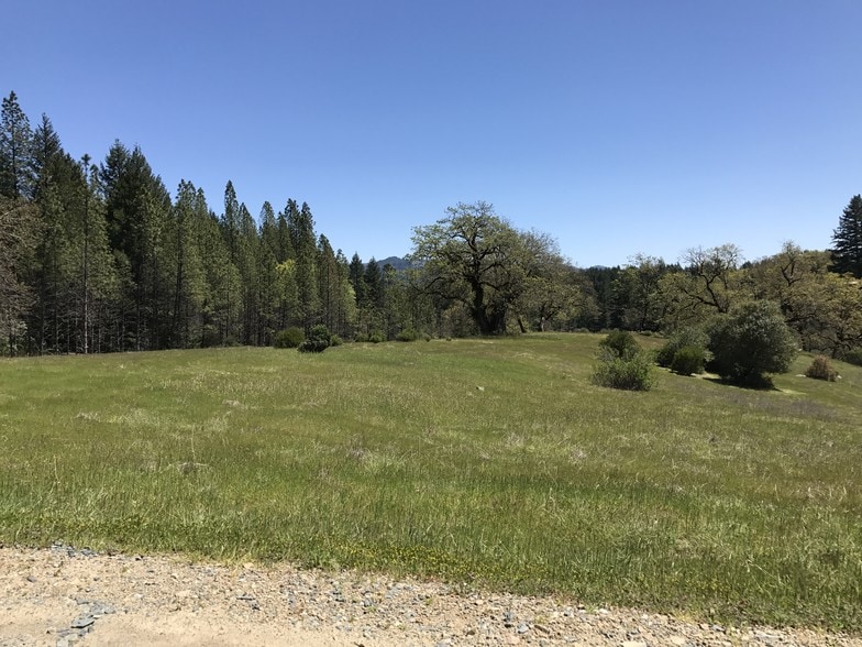 49690 Highway 101, Laytonville, CA for sale - Building Photo - Image 3 of 10