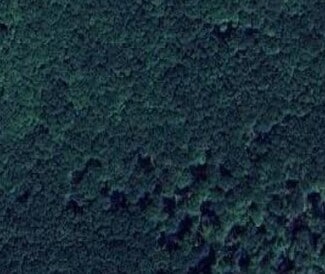 Plus de détails pour Fox and Robinson Rd, South Canaan, PA - Terrain à vendre