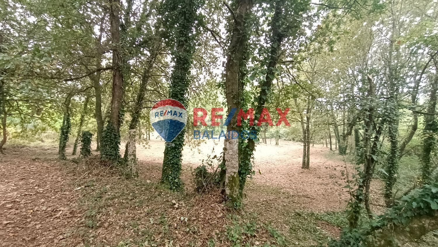 Land in O Porriño, Pontevedra for sale Primary Photo- Image 1 of 20