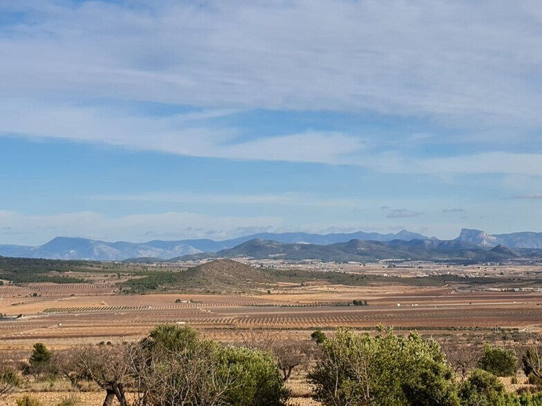 Terrain dans Yecla, Murcia à vendre - Aérien - Image 2 de 10