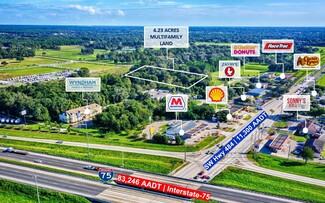 Plus de détails pour 13350 SW 16th Ave, Ocala, FL - Terrain à vendre