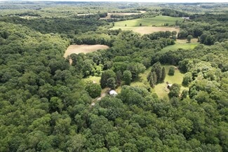 More details for 11811 Gaston Rd, Negley, OH - Land for Sale