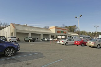 Plus de détails pour Bloomingdale Shopping Center – Commerce de détail à vendre, Kingsport, TN