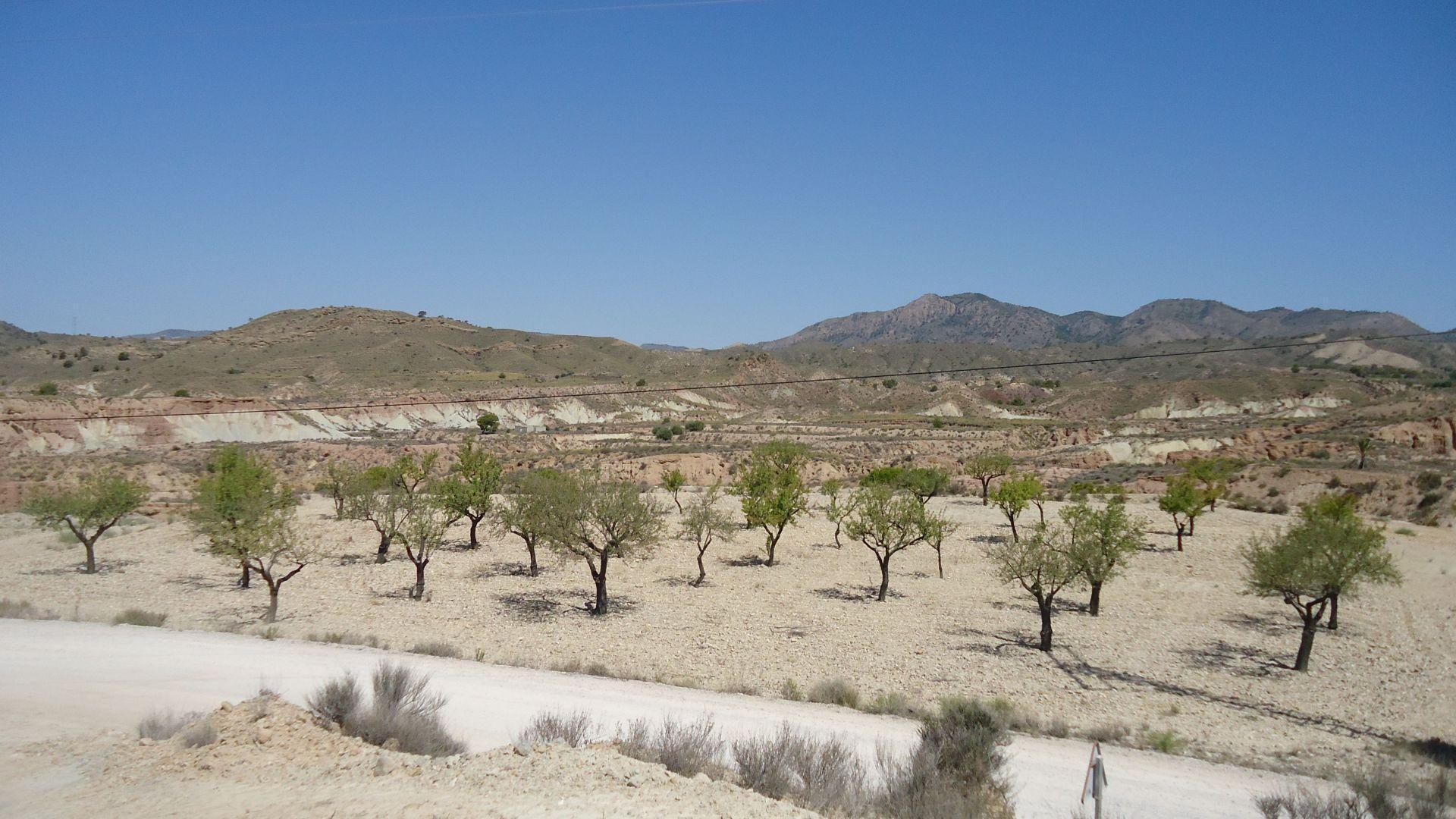 Land in Abanilla, Murcia for sale Site Plan- Image 1 of 8