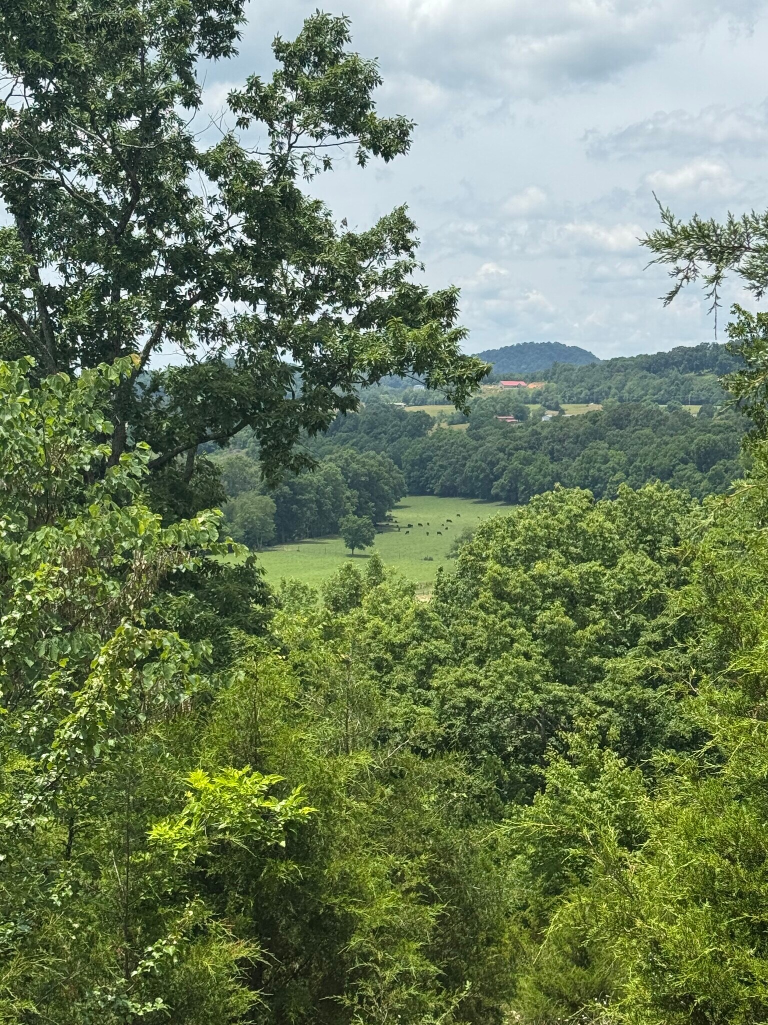 210 Ridge Haven Dr, Surgoinsville, TN for sale Primary Photo- Image 1 of 55