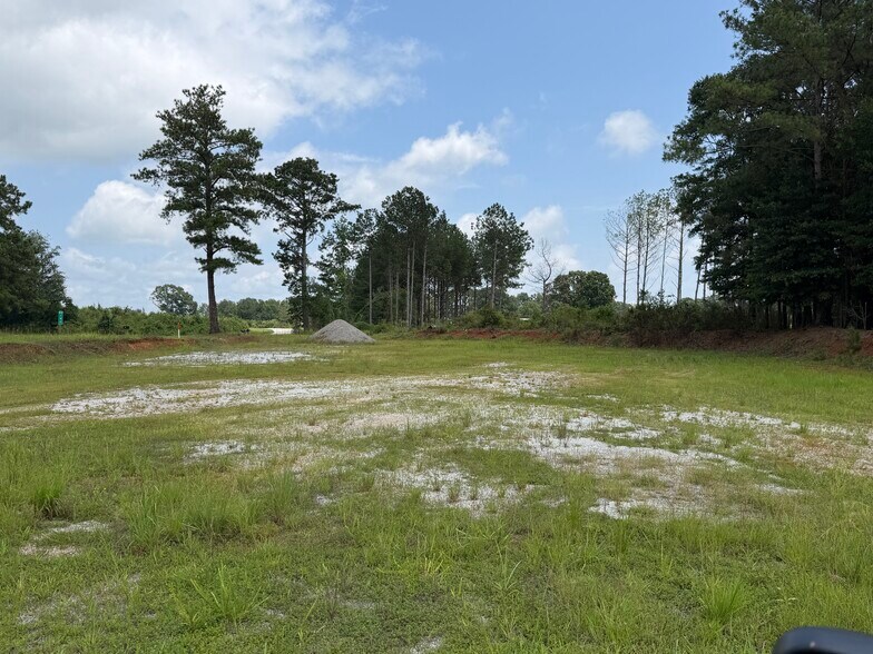 93888 Highway 9, Lineville, AL à vendre - Autre - Image 3 de 6