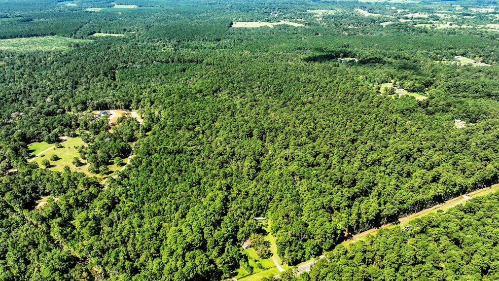 Shepard Rd, Coldspring, TX for sale - Aerial - Image 2 of 4
