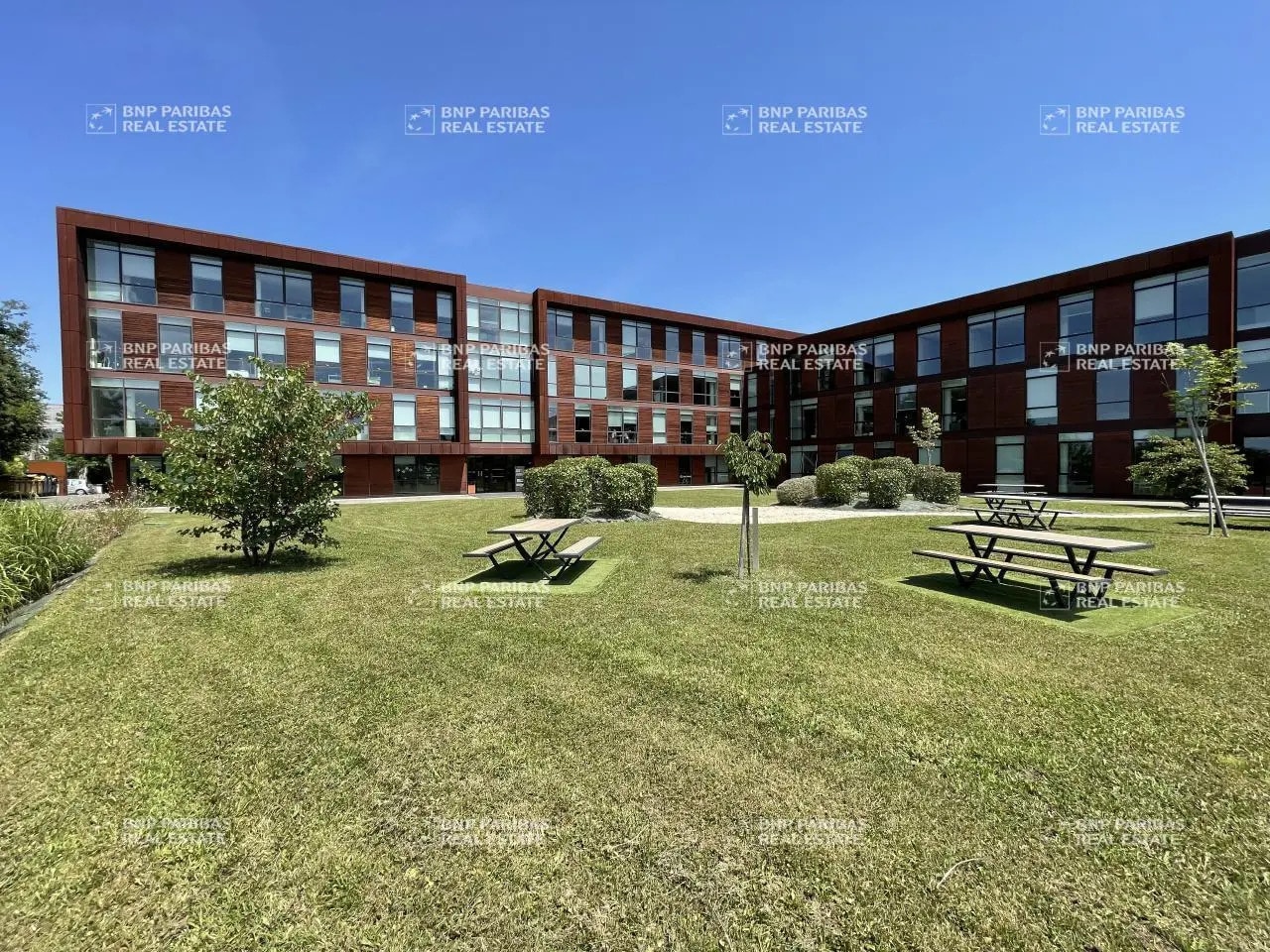 8 Rue De Vidailhan, Balma for lease Building Photo- Image 1 of 11