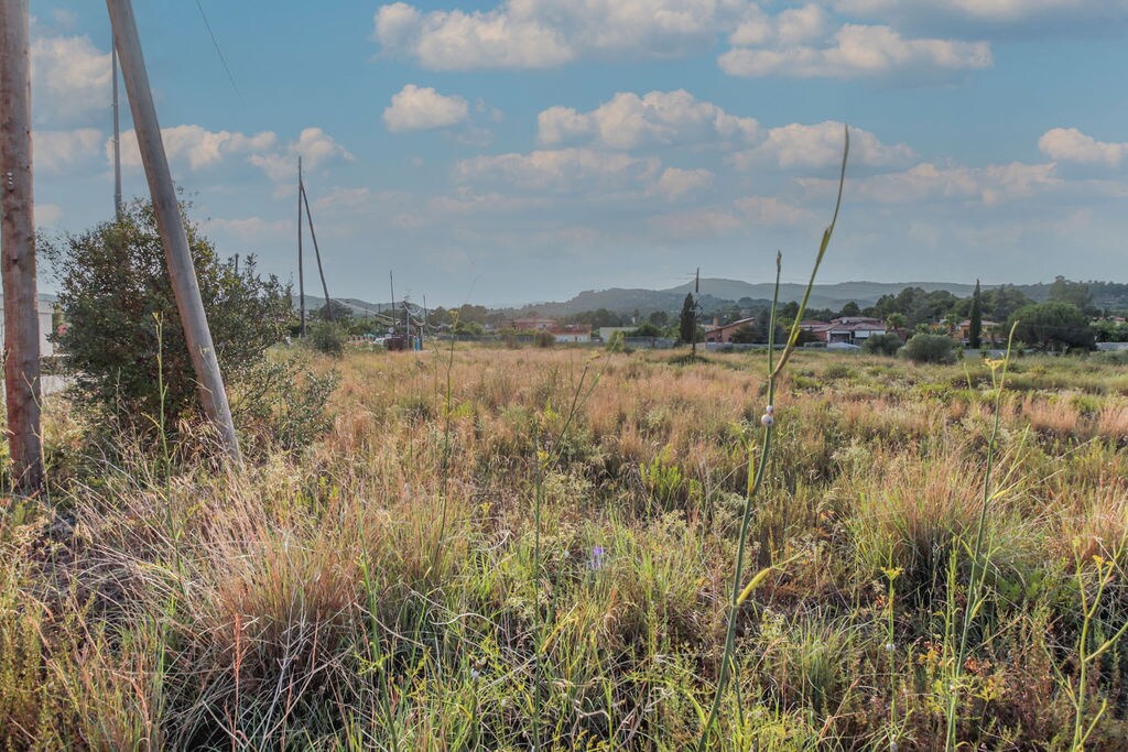 Land in Alcover, Tarragona for sale Primary Photo- Image 1 of 13
