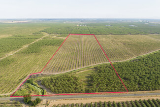 Plus de détails pour 42-Acres E. Monte Vista Ave., Denair, CA - Terrain à vendre