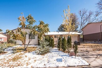 Plus de détails pour 10708 Varese Ln, Northglenn, CO - Spécialité à vendre