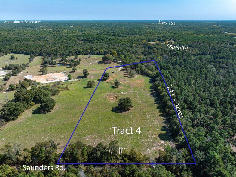 Tract 4 Saunders Road, Big Sandy, TX à vendre - Photo principale - Image 1 de 1