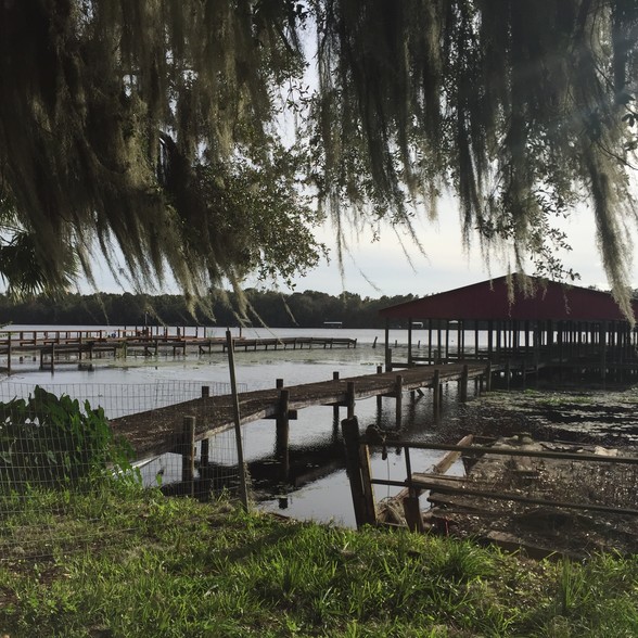 110 PORT COVE LANDING Rd, Georgetown, FL à vendre - Photo du bâtiment - Image 1 de 1