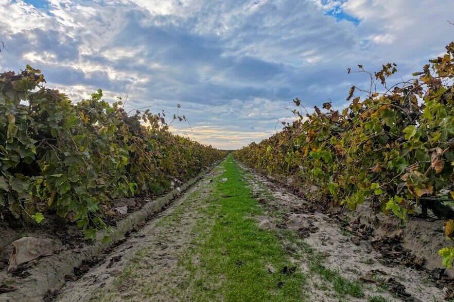 11836 S Hughes Ave, Caruthers, CA à vendre - Photo du bâtiment - Image 3 de 12