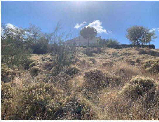 Calle de Salamanca, 336, El Casar, Guadalajara à vendre Photo principale- Image 1 de 2