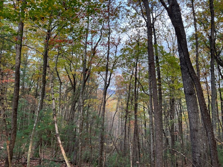 Whitecliff Drive, Ellijay, GA à vendre - Photo du bâtiment - Image 3 de 69