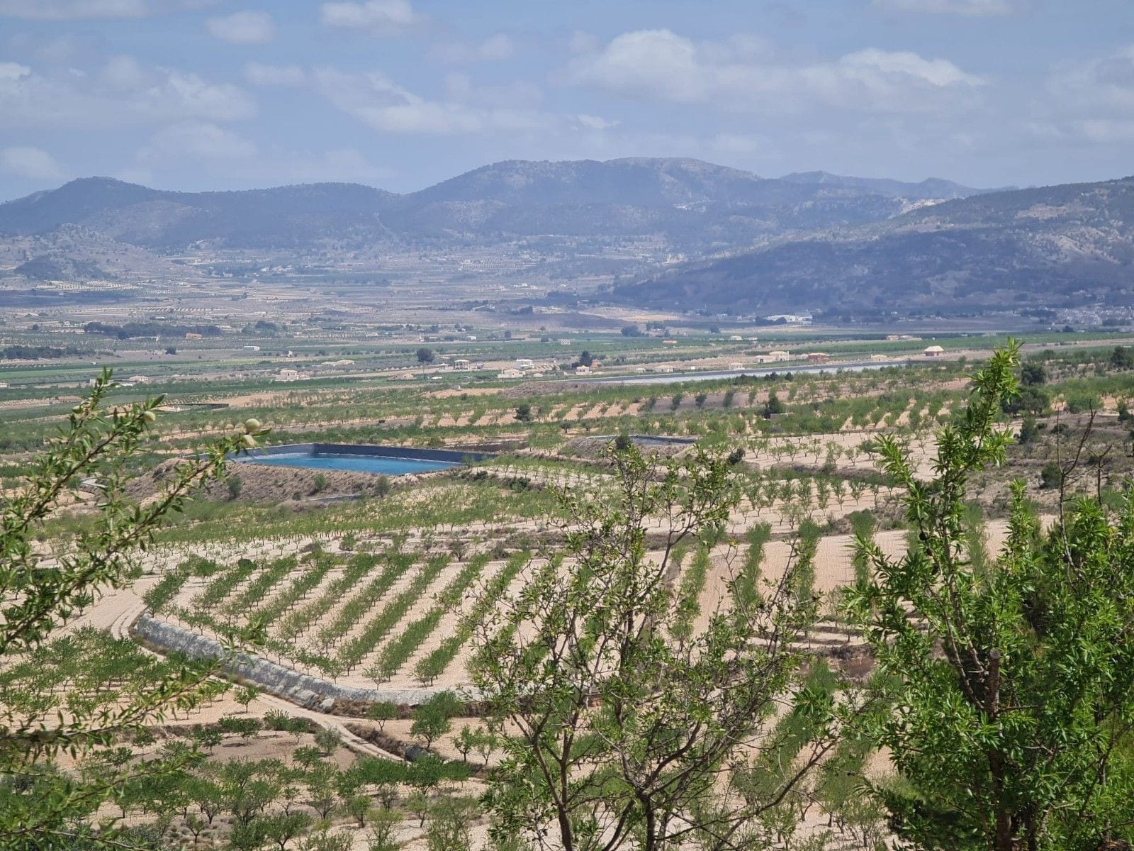 Terrain dans MURCIA à vendre Aérien- Image 1 de 30