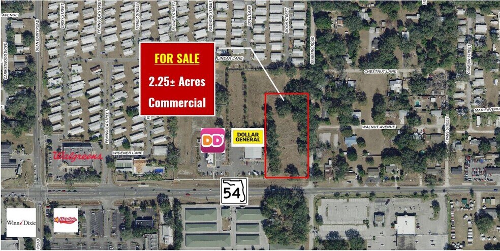State Road 54 & Seaberg Rd, Zephyrhills, FL à vendre - Photo du bâtiment - Image 2 de 4