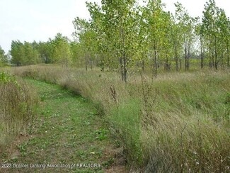 More details for 700 E Townsend Rd, Saint Johns, MI - Land for Sale