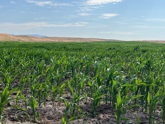 More details for TBD Rockin B Lane, Emmett, ID - Land for Sale