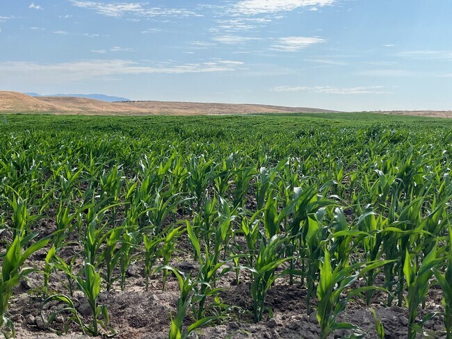 More details for TBD Rockin B Lane, Emmett, ID - Land for Sale