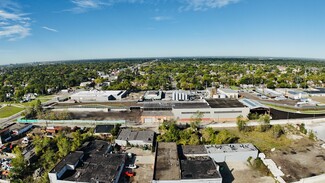 Plus de détails pour 8951 Alpine St, Detroit, MI - Industriel à louer