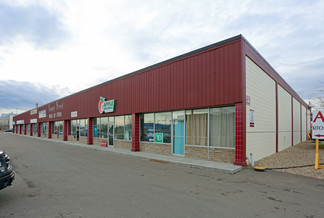 Plus de détails pour 10628-10640 169 St NW, Edmonton, AB - Industriel à louer