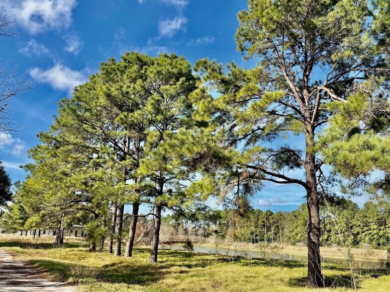 851 County Road 149, Alvin, TX à vendre - Autre - Image 2 de 19