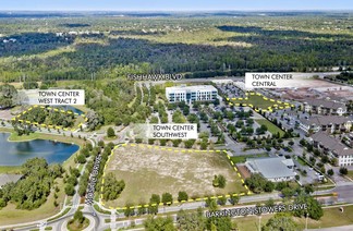 Plus de détails pour Skytop Dr and Fishhawk Blvd, Lithia, FL - Terrain à vendre