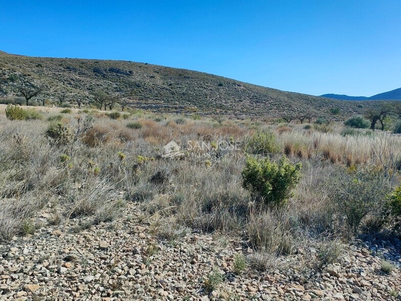 Land in Hondón de los Frailes, Alicante for sale - Site Plan - Image 2 of 6