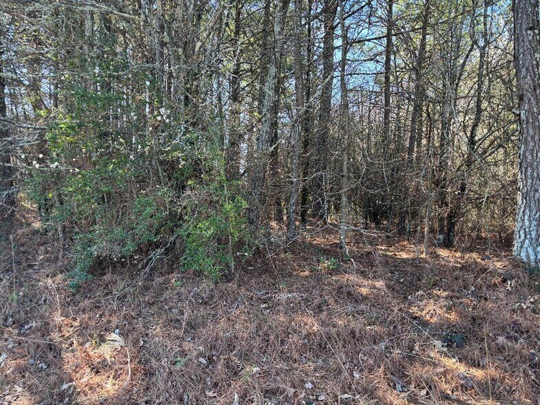 2515 Eastgate pl, Snellville, GA à vendre - Photo du bâtiment - Image 3 de 4