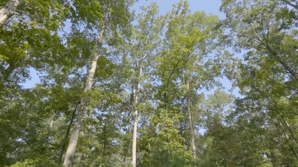 2903 Steele Rd, Griffin, GA à vendre - Vidéo sur l’inscription commerciale - Image 2 de 25