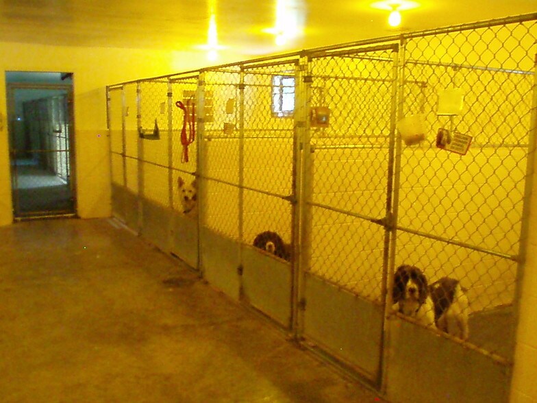 1140 Weber Rd, Loveland, OH à vendre - Photo intérieure - Image 3 de 30