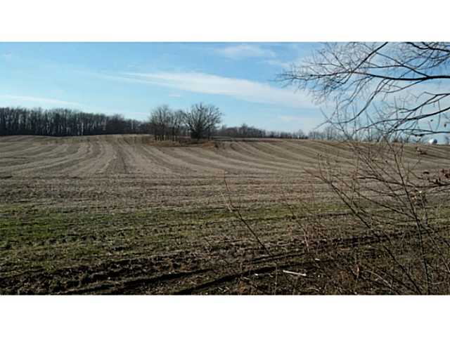 Plus de détails pour 1800 E Grand River Ave, Portland, MI - Terrain à vendre